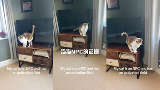 我的猫猫是NPC的证据🤣