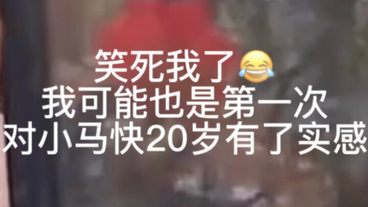 【Mã Gia Kỳ】Cười chết mất thôi, có lẽ đây cũng là lần đầu tiên mình thực sự cảm nhận được rằng Tiểu M