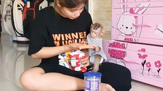 Obedient Lovely Baby Lion Very Handsome Siting Getting Candy From Mom