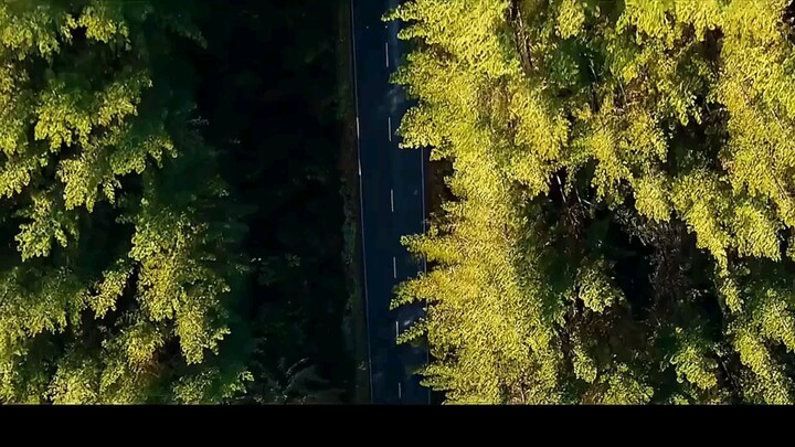 ดูหนังสยองขวัญเรื่อง “ทางตัน” จบภายในครั้งเดียว