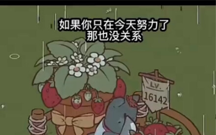 请停下来看看切菜小猫，治愈你今天所有的坏心情