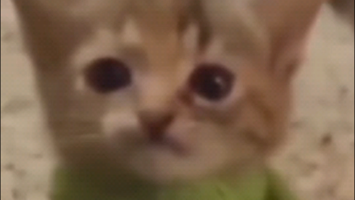 Laugh-Keeping Challenge (Beginner Level)