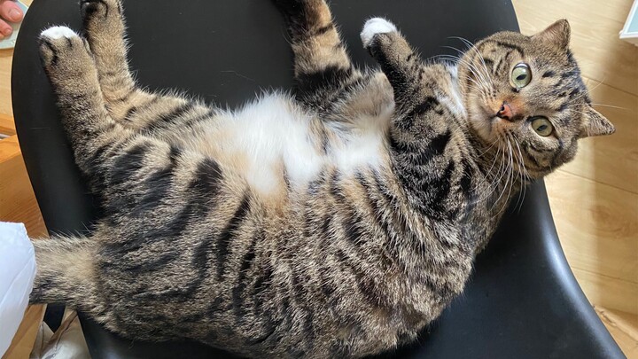 ทำไมคุณผอมขนาดนี้??