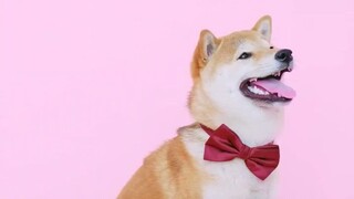 BluesRock collab creation. Serge Bolotberg production