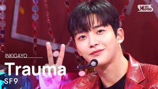 SF9(에스에프나인) - Trauma @인기가요 inkigayo 20211128