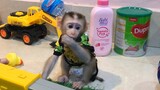 A lot of toys for baby monkey to play