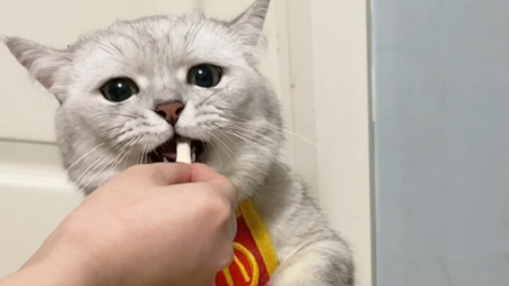 لقد عرفتُ مُنذُ زمنٍ طويلٍ أنكِ لستِ أمّي البيولوجية.