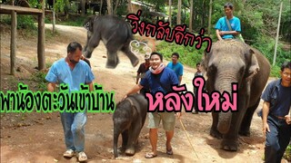 พาน้องตะวันเข้าบ้านหลังใหม่ใหญ่กว่าเดิมงานนี้มีวิ่ง..😅😂