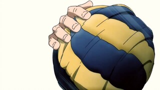 Anyone like volleyball?