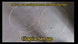 best set up for tilapia fishing