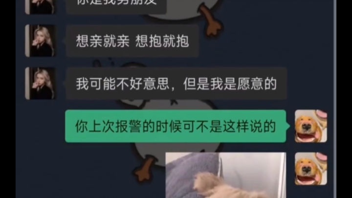 优秀网友们是这样聊天的，哈哈哈哈………