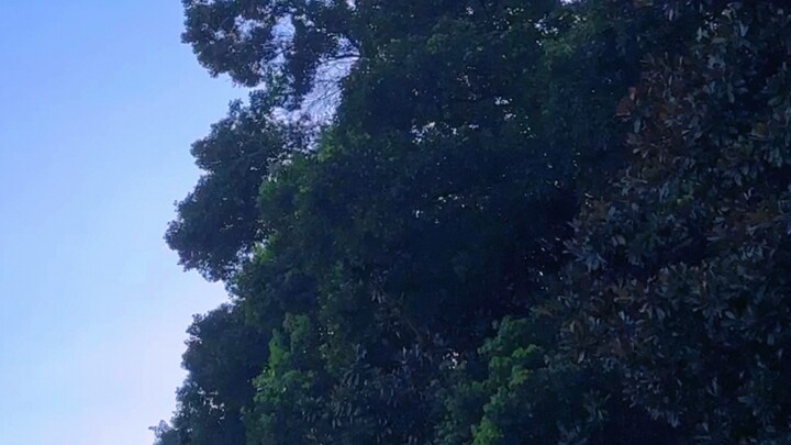 The weather is so nice today! ☁️