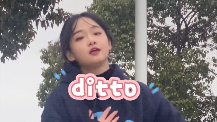 ฟิลเตอร์ย้อนยุคนั้นเหมาะสำหรับ ditto