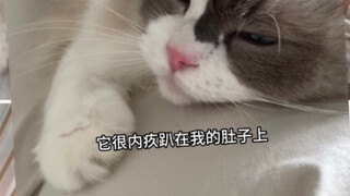 The cat that once stepped on my nine-month pregnant belly has now fallen into such a pitiful state..