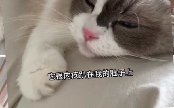 The cat that once stepped on my nine-month pregnant belly has now fallen into such a pitiful state..