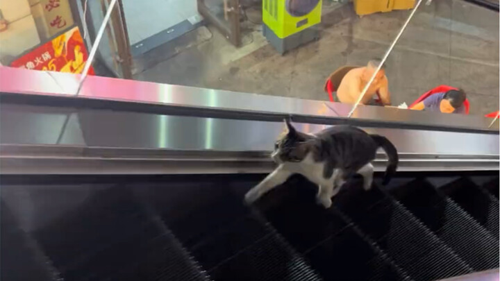 ทั้งที่อยู่ตรงหน้าแล้ว ทำไมถึงข้ามไปไม่ได้ล่ะ?