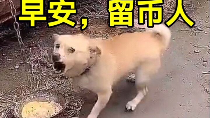 Good morning, coin holders!