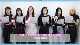 【ترجمة Zhuba الصينية】طريقة دعم Apink Dumhdurum