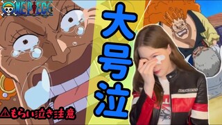 [Dadan beat up Garp 😭]One Piece Ep:504【Reaction】【animation】
