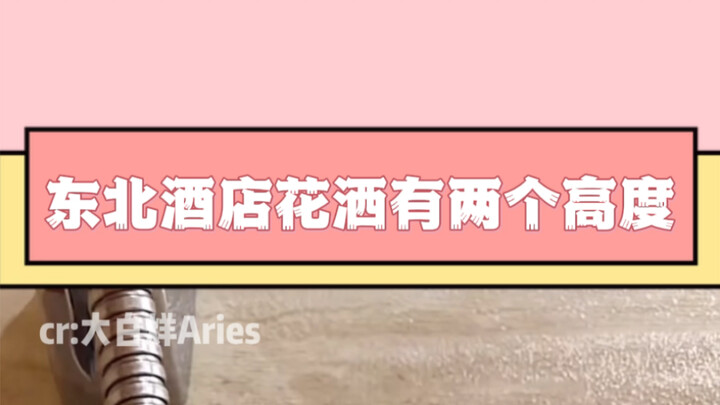 东北人真好，花洒都这么贴心