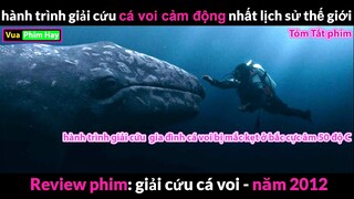 phim Giải Cứu Cá Voi cảm động nhất - review phim Giải Cứu Cá Voi 2012