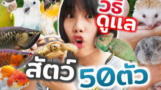 รีวิวสัตว์เลี้ยง 50ตัว!!! ดูเเลยากไหม