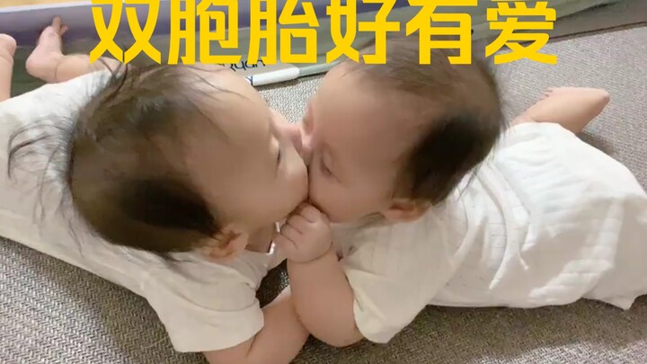 双胞胎人类幼崽到底有多可爱