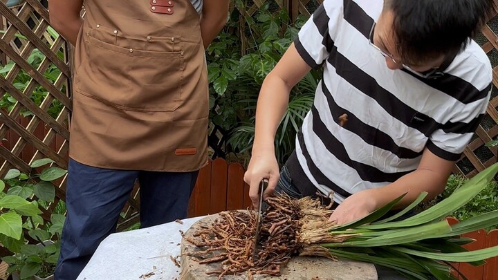 如何拯救烂根黄叶的兰花，让它长根快，发芽多