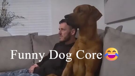 Funny dog core😂😍🐕‍🦺