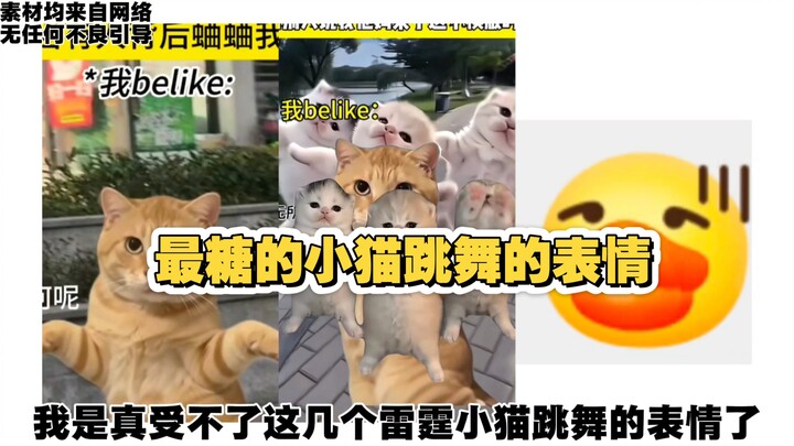 Biểu cảm mèo con nhảy múa ngọt ngào nhất, ngọt đến mức chẳng còn biên giới.