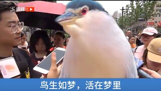 采访第一个走出考场的夜鹭