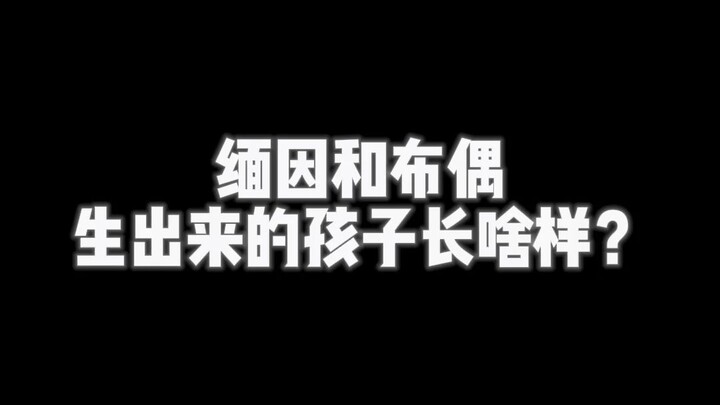 缅因布偶孩子竟然长这样？！！