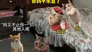 หลักสูตรบังคับในชีวิต: ความกตัญญูกตเวที
