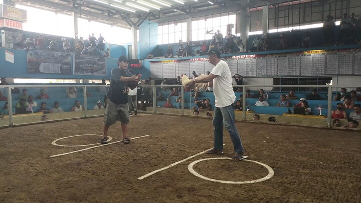 Pasig square garden ( Rafael ) win galing talaga ni pute Hindi Lage na susugatan