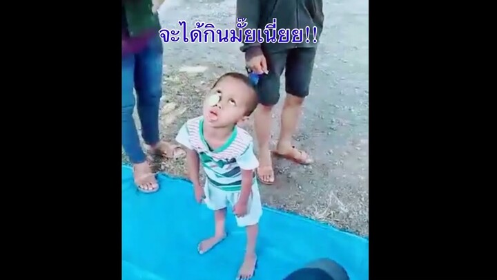 รวมคลิปตลก ฮาๆ ทั่วโลก