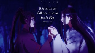 WangXian | This Is What Falling In Love Feels Like | Mo Dao Zu Shi | AMV