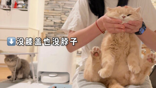 I've tried it, and sea cucumbers really don't have knees.