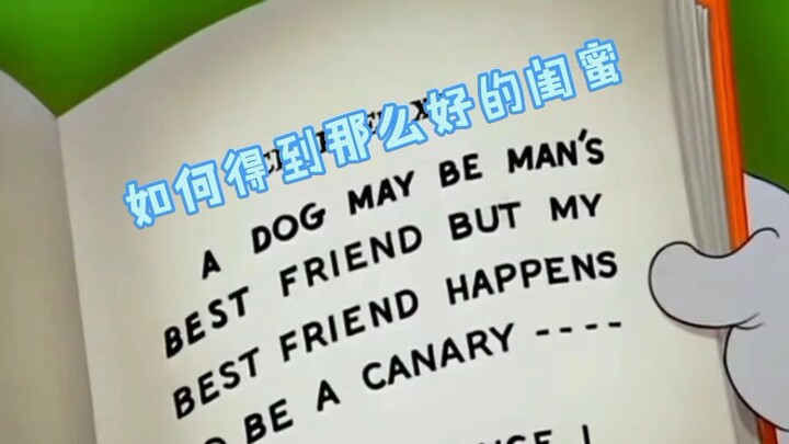 DIY视频（勿喷）