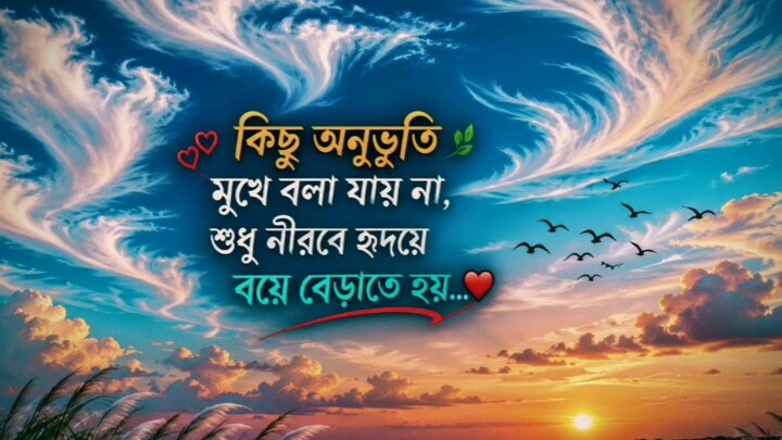 কিছু অনুভূতি