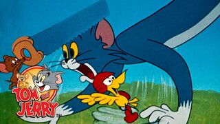 Tom & Jerry | Mischievous Moments | @GenerationWB