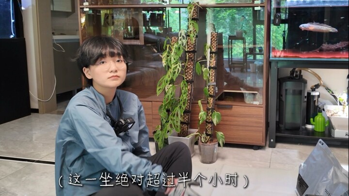 Vlog di Rumah | “Aku Bener-Bener Nggak Suka Merawat Tanaman!”