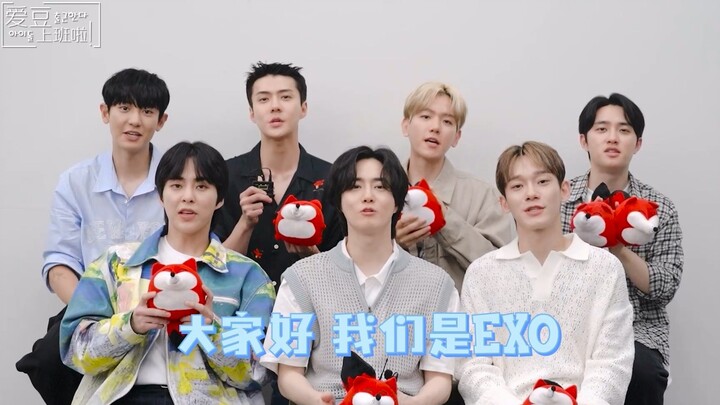 【أيقونات الكيبوب في العمل! مقابلة حصرية مع EXO بدقة 1080P】18 يوليو 2023: مقابلة حصرية مع EXO - معجبو