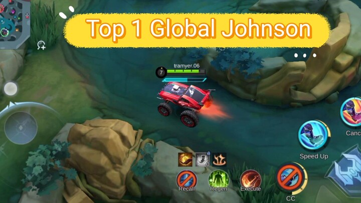 Top 1 Global Johnson