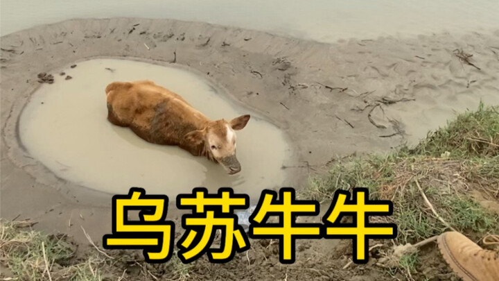ยิ่งขุดยิ่งมึน