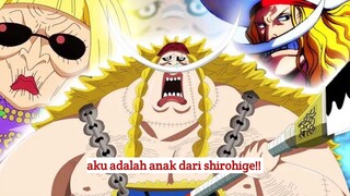 KLONING WHITEBEARD❓