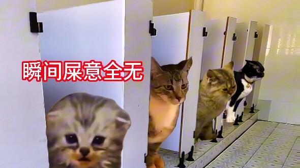 Saya di toilet sekolah