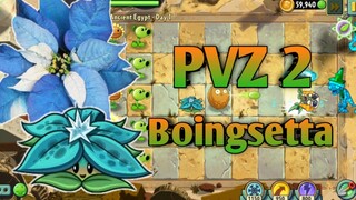 PVZ 2, Boingsetta