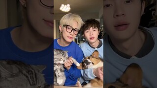 BL TikTok Video /소년 사랑 소년 /boy Love boy #boylove #blshorts #bltiktok #bl #boyloveboy #foryou #fyp
