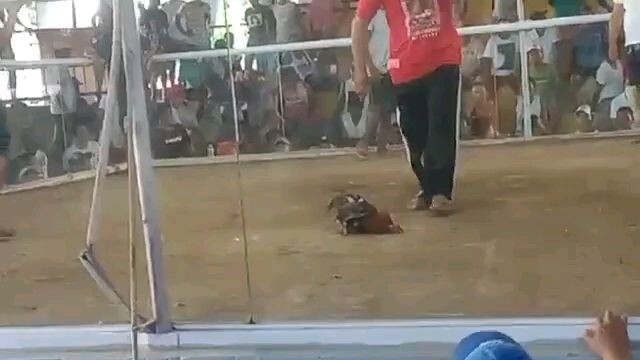 fastest kill grand prize 40k