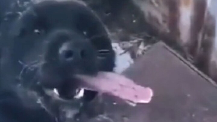 "บางตัวมันเกิดมาเพื่อทำให้คุณซึมเศร้าอยู่แล้ว"